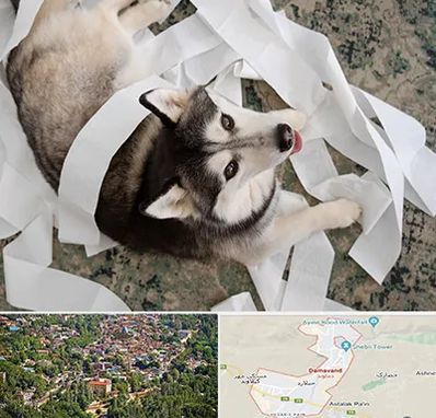 خرید ضایعات پت در دماوند