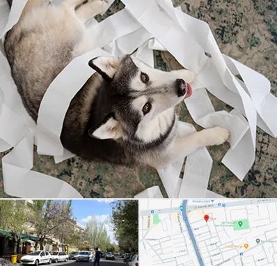 خرید ضایعات پت در کوی فیروز تبریز