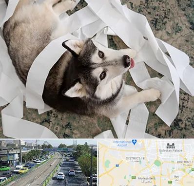 خرید ضایعات پت در جنوب تهران 