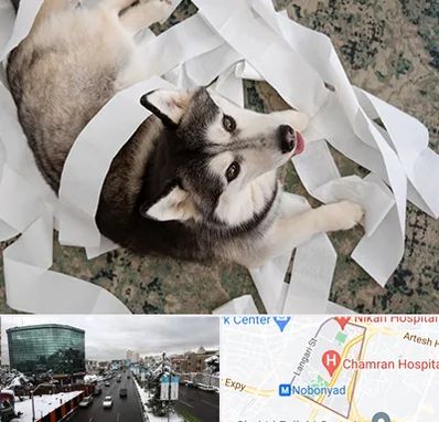 خرید ضایعات پت در اقدسیه