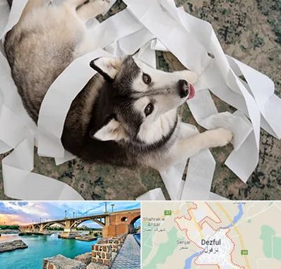 خرید ضایعات پت در دزفول