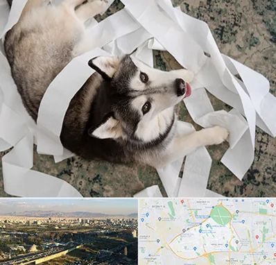 خرید ضایعات پت در منطقه 19 تهران 