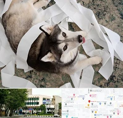 خرید ضایعات پت در طالقانی 