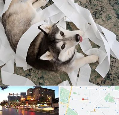 خرید ضایعات پت در بلوار سجاد مشهد 