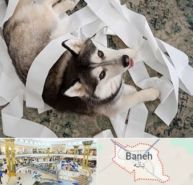 خرید ضایعات پت در بانه