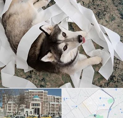 خرید ضایعات پت در طلاب مشهد