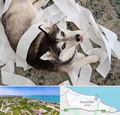 خرید ضایعات پت در نوشهر