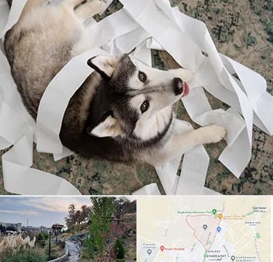 خرید ضایعات پت در باغستان کرج 