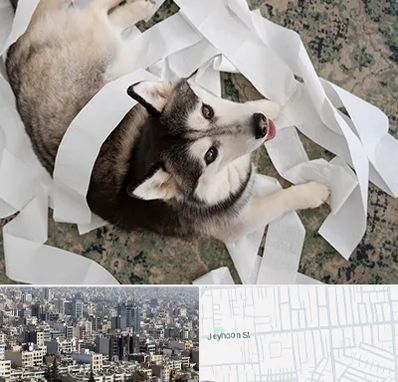 خرید ضایعات پت در جیحون