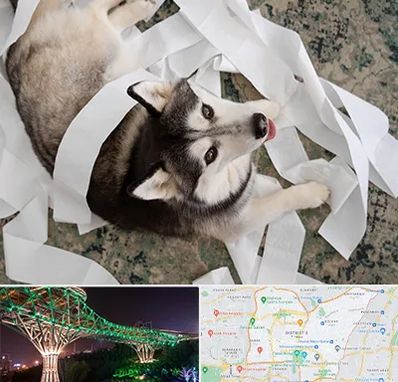 خرید ضایعات پت در منطقه 3 تهران 