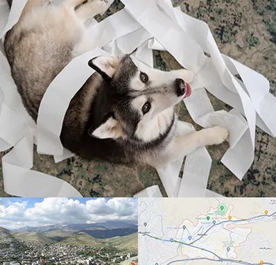 خرید ضایعات پت در رودهن