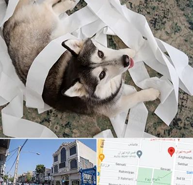 خرید ضایعات پت در افسریه 