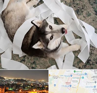 خرید ضایعات پت در مارلیک کرج 