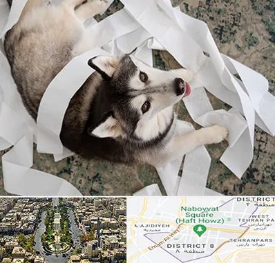 خرید ضایعات پت در نارمک 