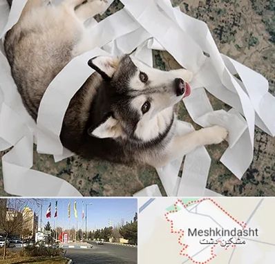 خرید ضایعات پت در مشکین دشت