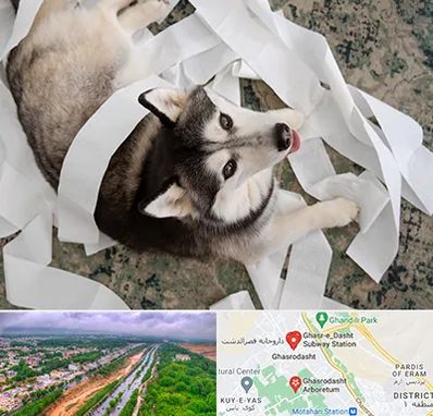 خرید ضایعات پت در قصرالدشت شیراز 