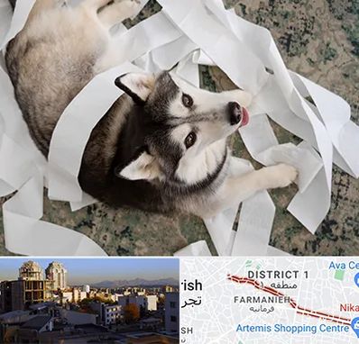 خرید ضایعات پت در فرمانیه 