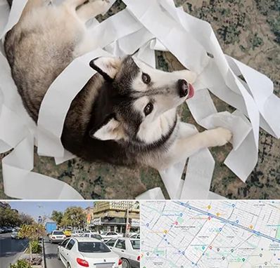 خرید ضایعات پت در مفتح مشهد 