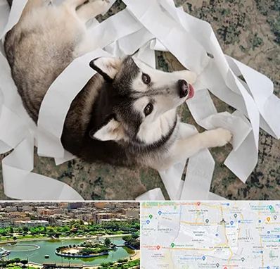 خرید ضایعات پت در منطقه 9 تهران 