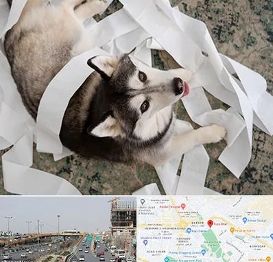 خرید ضایعات پت در بلوار توس مشهد 