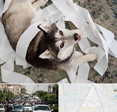 خرید ضایعات پت در سیدی مشهد