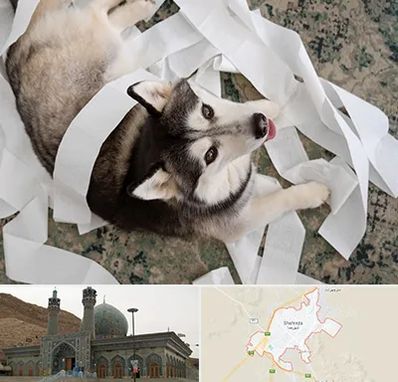 خرید ضایعات پت در شهرضا