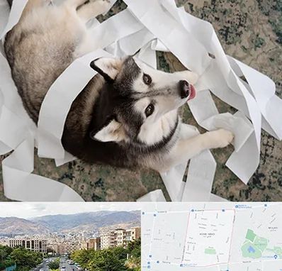 خرید ضایعات پت در خانی آباد 