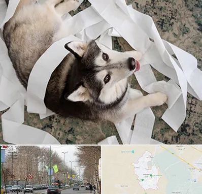 خرید ضایعات پت در نظرآباد کرج 