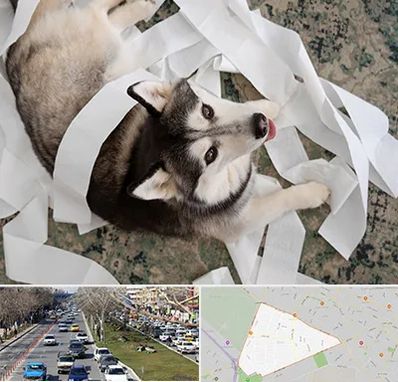 خرید ضایعات پت در احمدآباد مشهد 