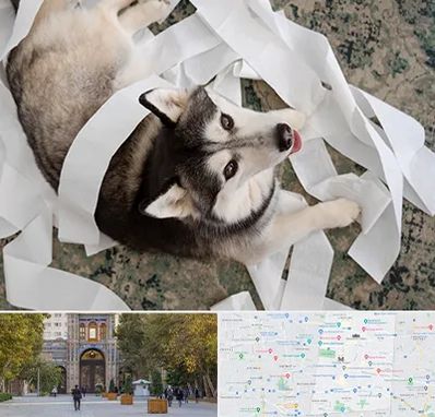 خرید ضایعات پت در منطقه 12 تهران 