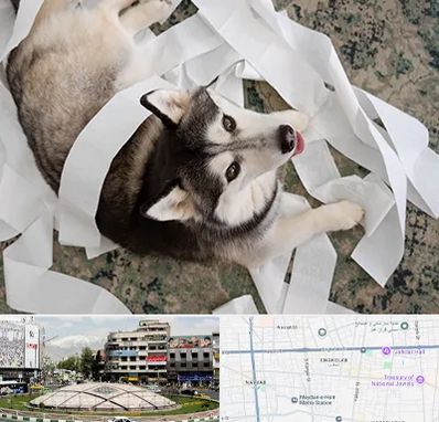 خرید ضایعات پت در مرکز تهران