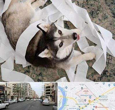 خرید ضایعات پت در زیتون کارمندی اهواز 