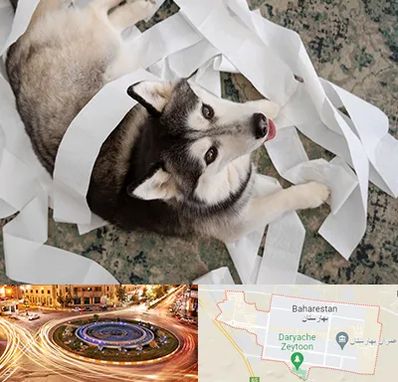 خرید ضایعات پت در بهارستان