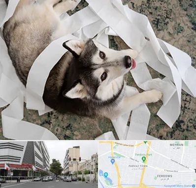 خرید ضایعات پت در بلوار فردوس 