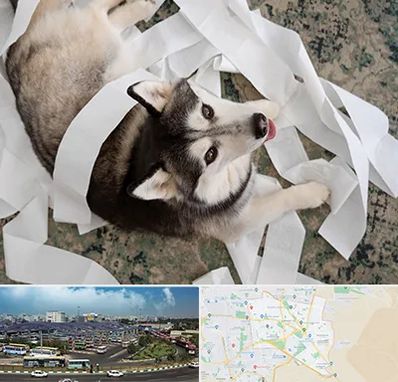 خرید ضایعات پت در منطقه 15 تهران 