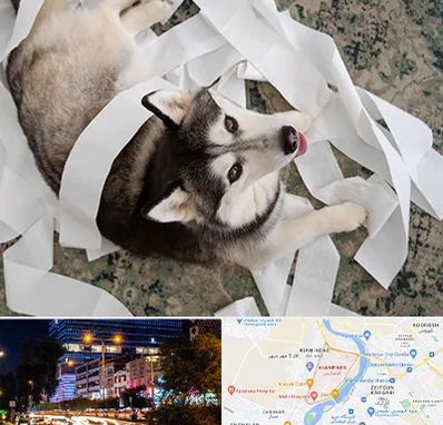 خرید ضایعات پت در کیانپارس اهواز 