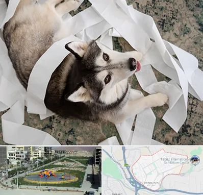 خرید ضایعات پت در مرزداران تبریز