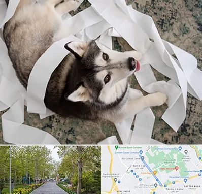 خرید ضایعات پت در قدوسی غربی شیراز 