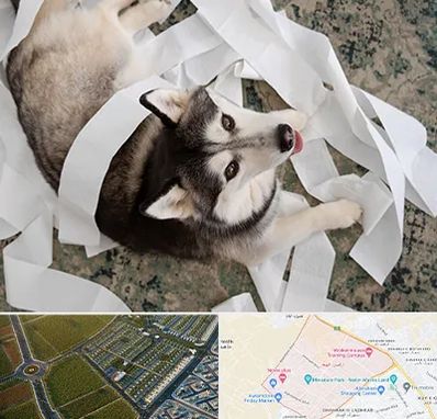 خرید ضایعات پت در الهیه مشهد 