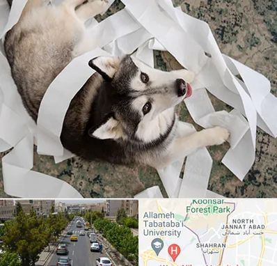 خرید ضایعات پت در شهران 