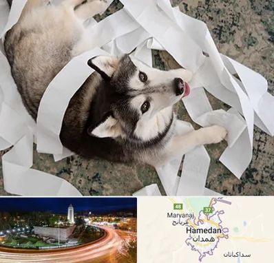 خرید ضایعات پت در همدان