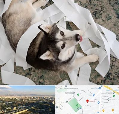 خرید ضایعات پت در هنگام 