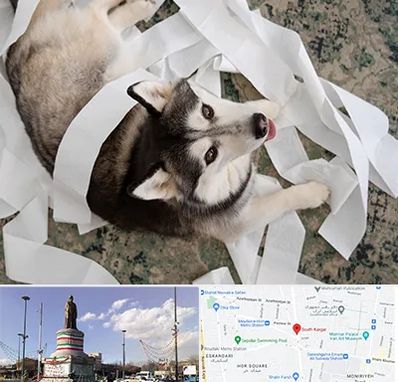 خرید ضایعات پت در کارگر جنوبی 