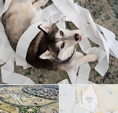 خرید ضایعات پت در اندیشه