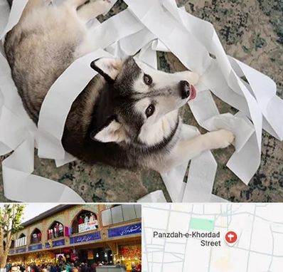 خرید ضایعات پت در 15 خرداد