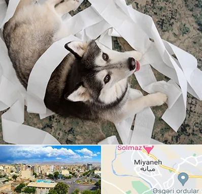 خرید ضایعات پت در میانه