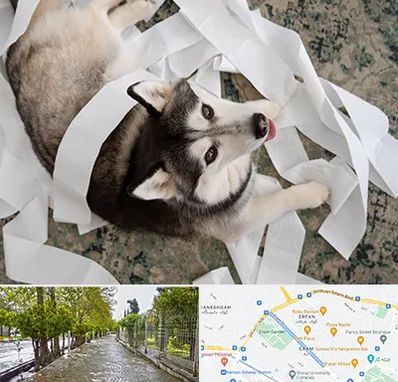 خرید ضایعات پت در خیابان ارم شیراز 