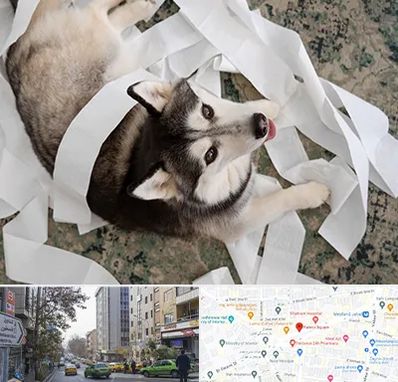 خرید ضایعات پت در فاطمی 