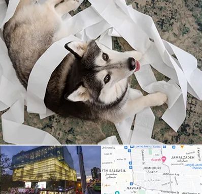 خرید ضایعات پت در جمهوری 