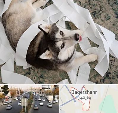 خرید ضایعات پت در باقرشهر